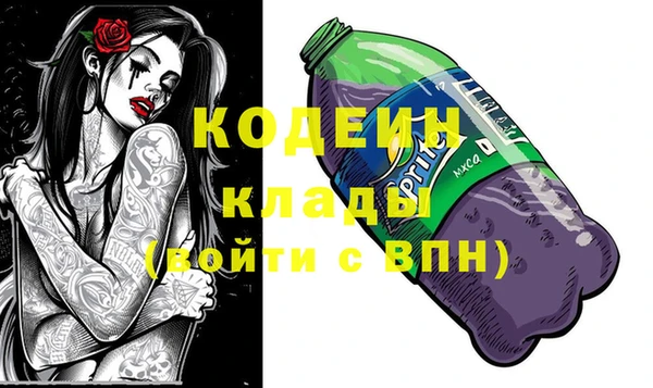 гидра Бронницы
