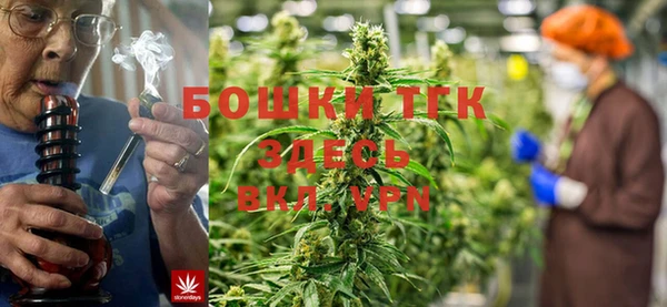 гидра Бронницы