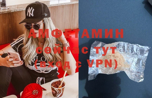 гидра Бронницы